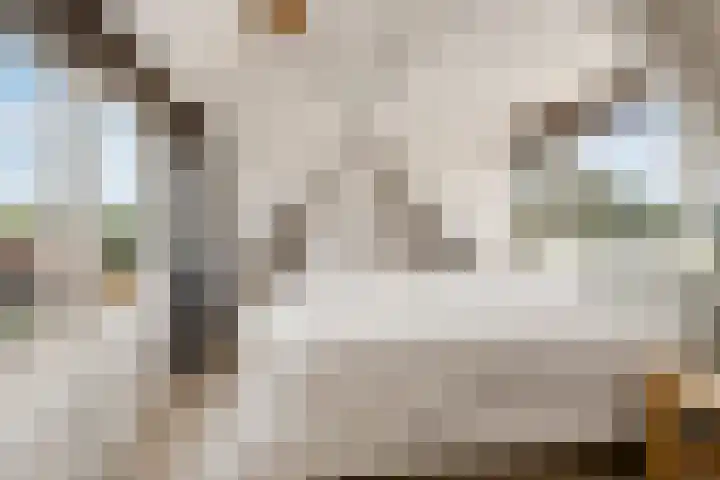Koningin Julianalaan 42 Ouderkerk aan de Amstel thumbnail 32