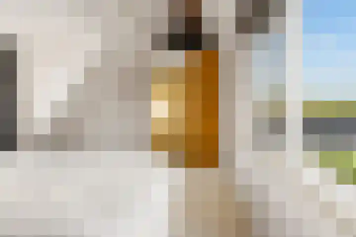 Koningin Julianalaan 42 Ouderkerk aan de Amstel thumbnail 34