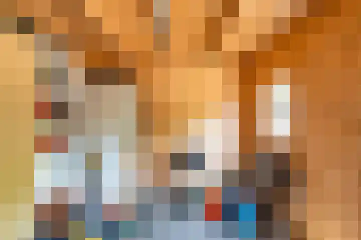 Koningin Julianalaan 42 Ouderkerk aan de Amstel thumbnail 43