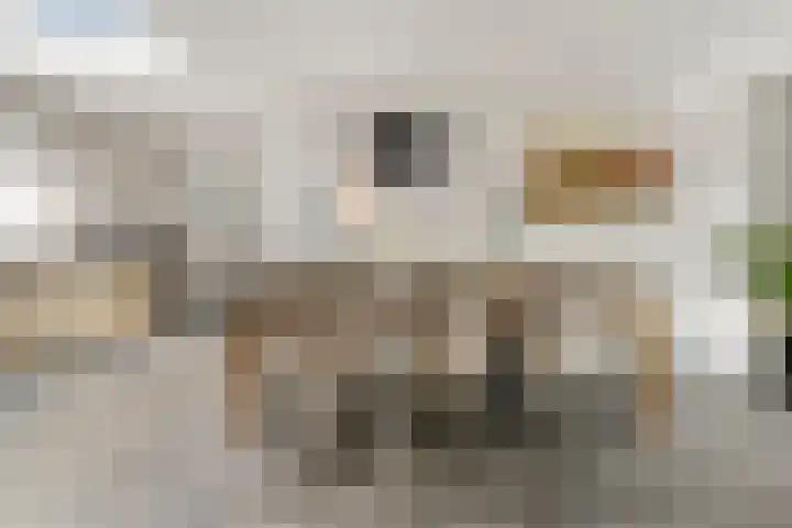Koningin Julianalaan 42 Ouderkerk aan de Amstel thumbnail 8
