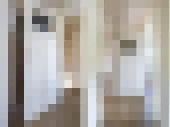 Koningin Julianalaan 43 Steenderen thumbnail 13