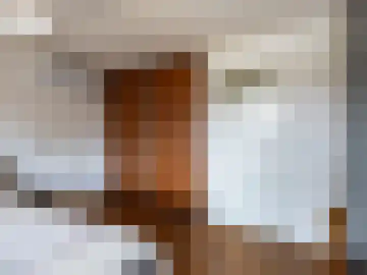 Koningin Julianalaan 43 Steenderen thumbnail 16