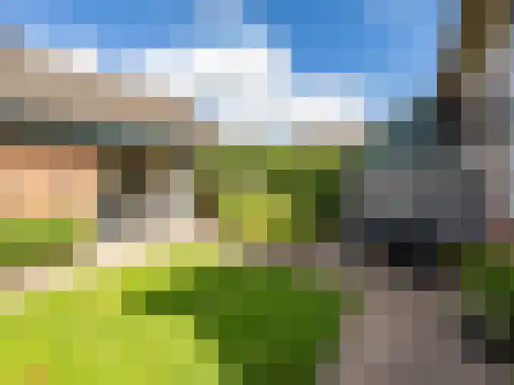 Koningin Julianalaan 43 Steenderen thumbnail 25