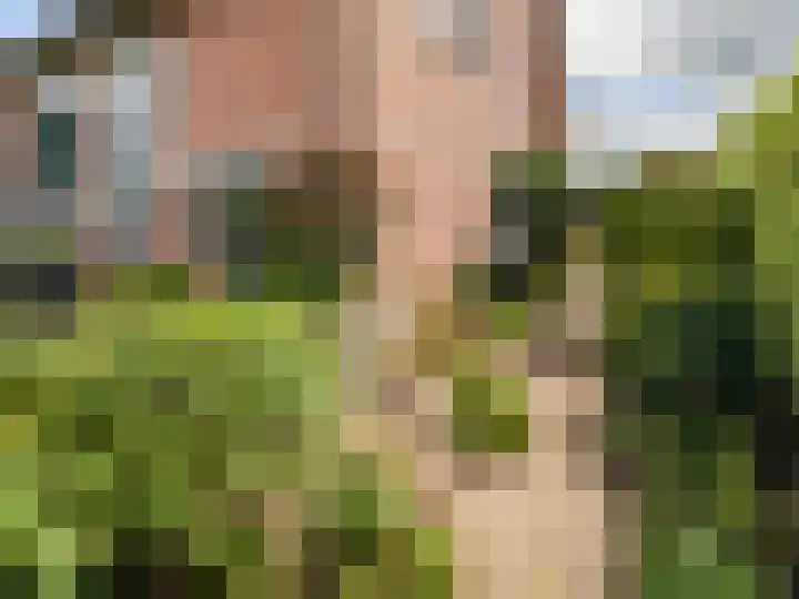 Koningin Julianalaan 43 Steenderen thumbnail 29