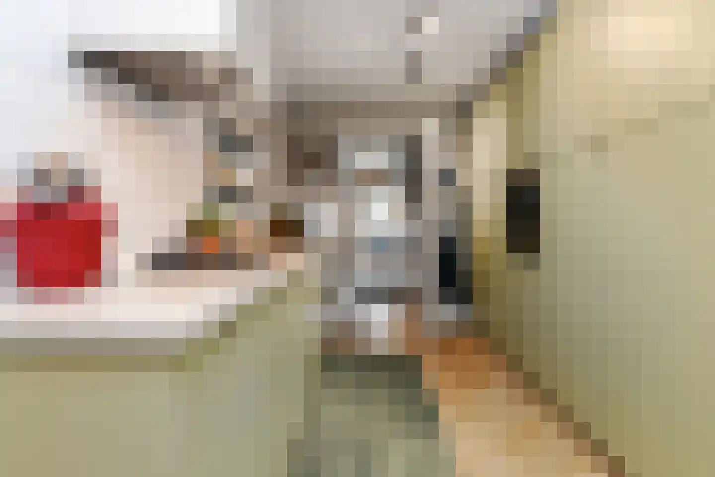 Koningin Julianalaan 44 Waalre thumbnail 13
