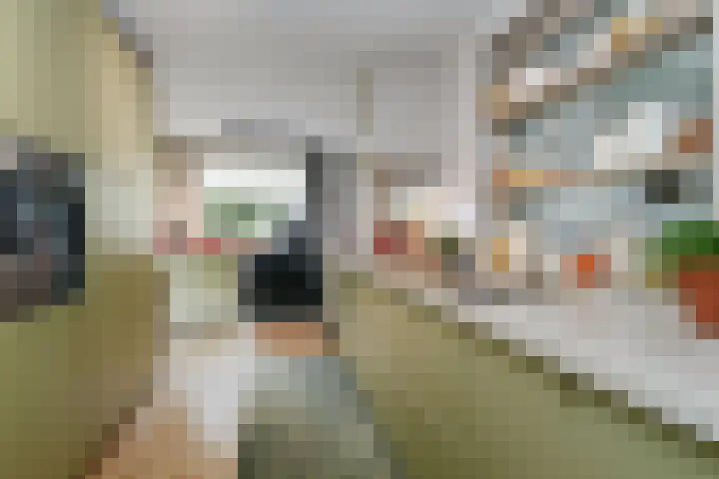 Koningin Julianalaan 44 Waalre thumbnail 14