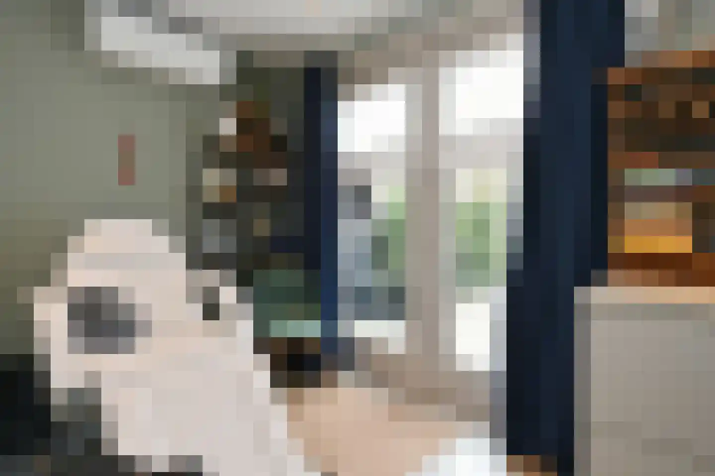 Koningin Julianalaan 44 Waalre thumbnail 22