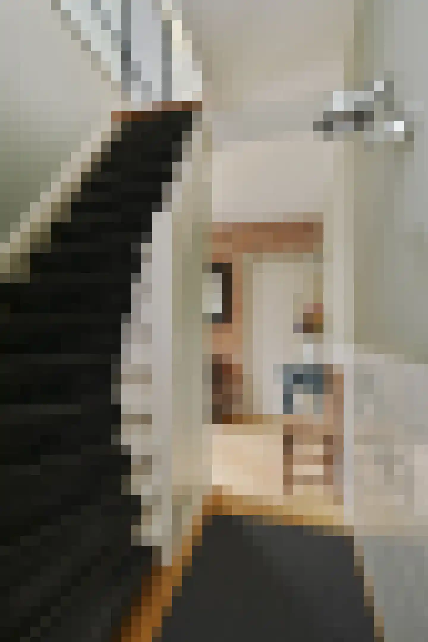 Koningin Julianalaan 44 Waalre thumbnail 26