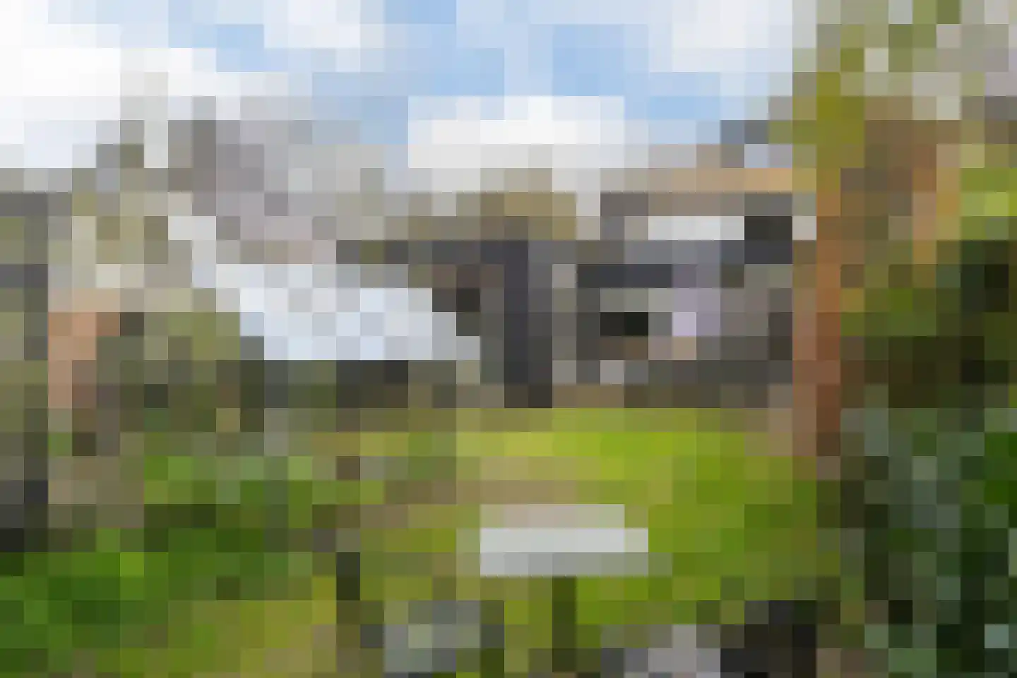 Koningin Julianalaan 44 Waalre thumbnail 43