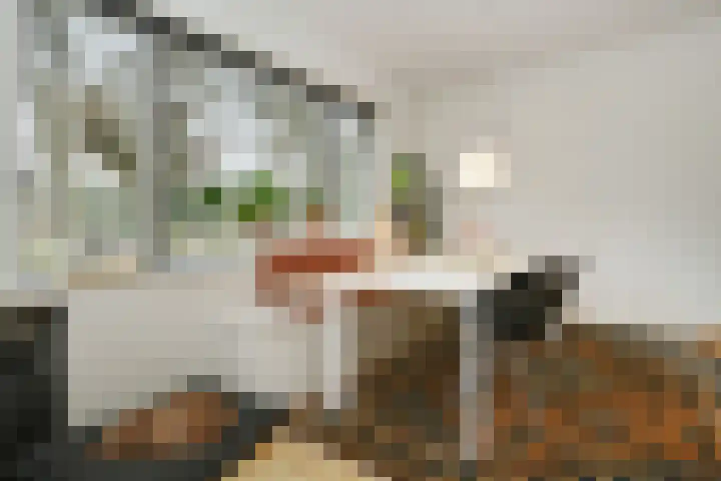 Koningin Julianalaan 44 Waalre thumbnail 7
