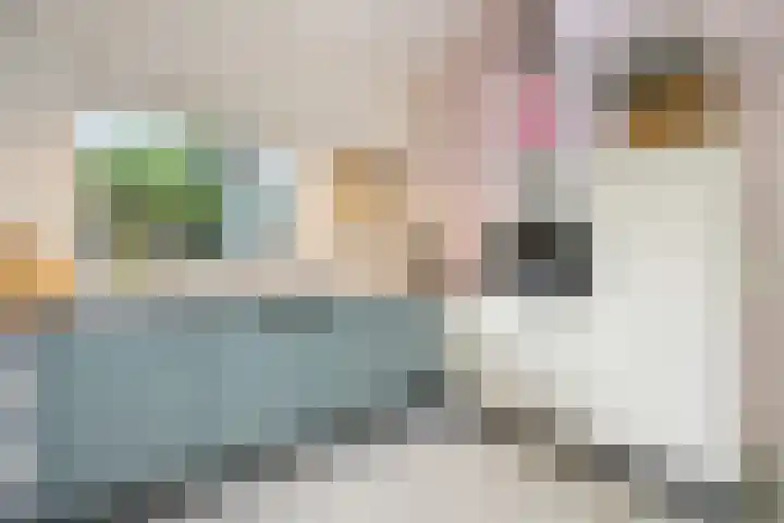 Koningin Julianalaan 5 Berg en Dal thumbnail 13