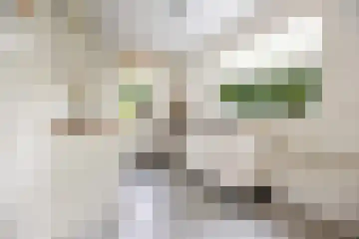 Koningin Julianalaan 5 Berg en Dal thumbnail 14
