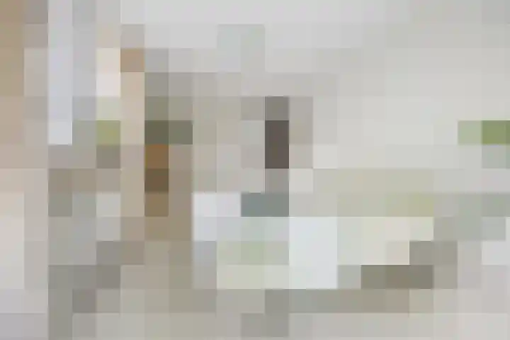 Koningin Julianalaan 5 Berg en Dal thumbnail 18