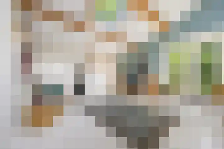 Koningin Julianalaan 5 Berg en Dal thumbnail 19