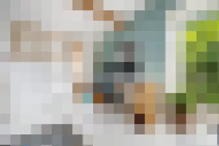 Koningin Julianalaan 5 Berg en Dal thumbnail 20