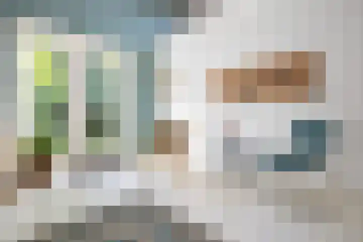Koningin Julianalaan 5 Berg en Dal thumbnail 23