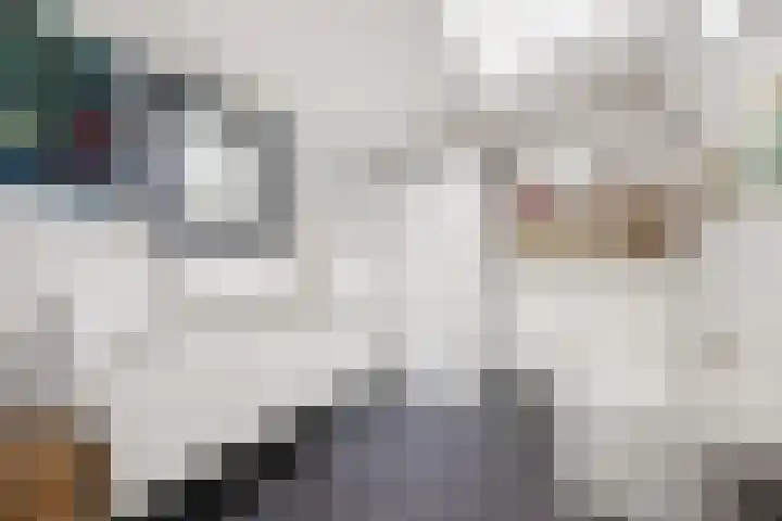 Koningin Julianalaan 5 Berg en Dal thumbnail 24