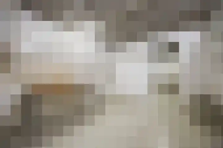 Koningin Julianalaan 5 Berg en Dal thumbnail 28