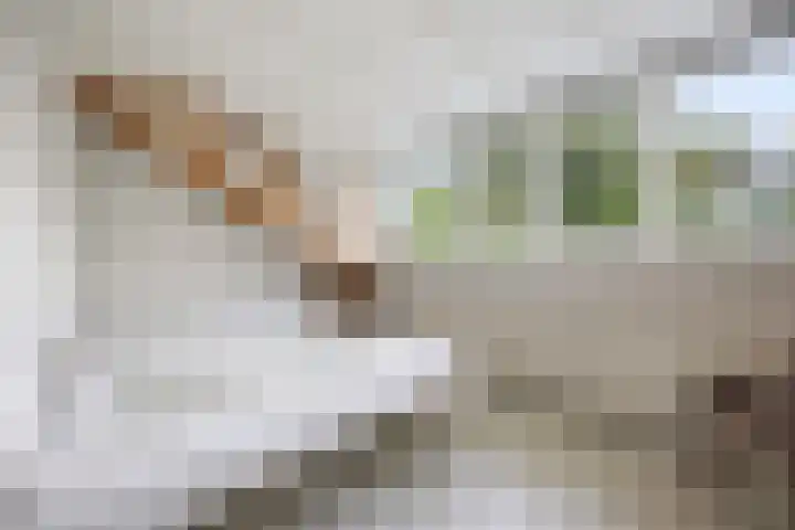 Koningin Julianalaan 5 Berg en Dal thumbnail 30