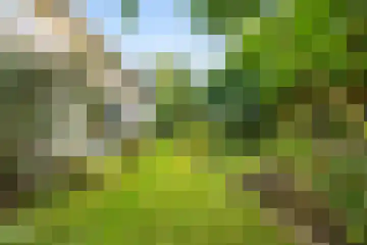 Koningin Julianalaan 5 Berg en Dal thumbnail 34