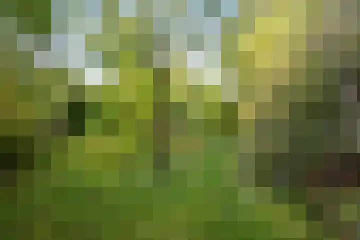 Koningin Julianalaan 5 Berg en Dal thumbnail 35