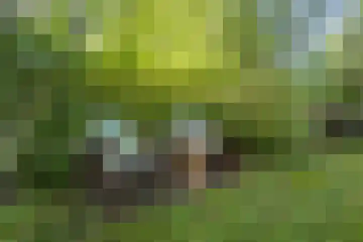 Koningin Julianalaan 5 Berg en Dal thumbnail 36