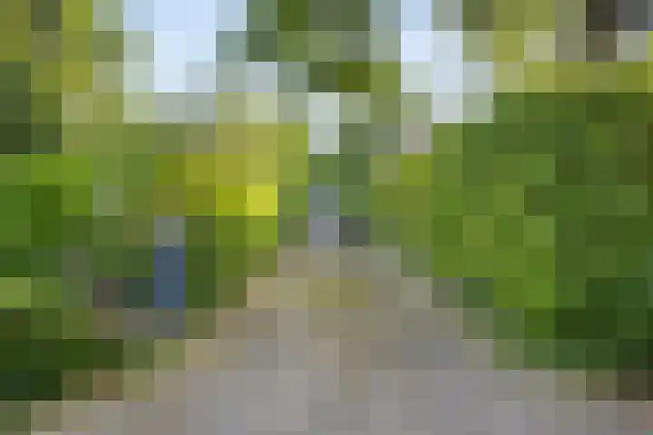 Koningin Julianalaan 5 Berg en Dal thumbnail 37
