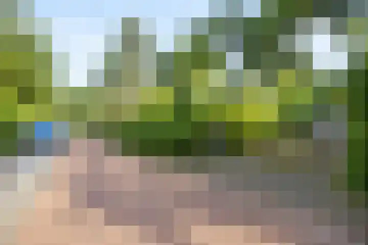 Koningin Julianalaan 5 Berg en Dal thumbnail 38