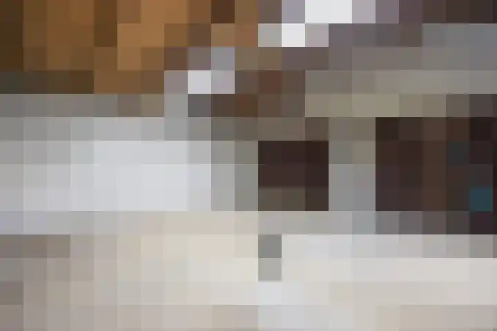 Koningin Julianalaan 5 Berg en Dal thumbnail 39