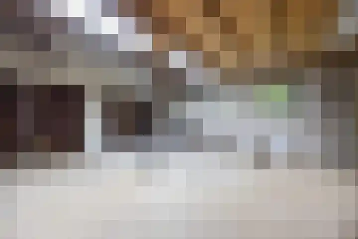 Koningin Julianalaan 5 Berg en Dal thumbnail 40