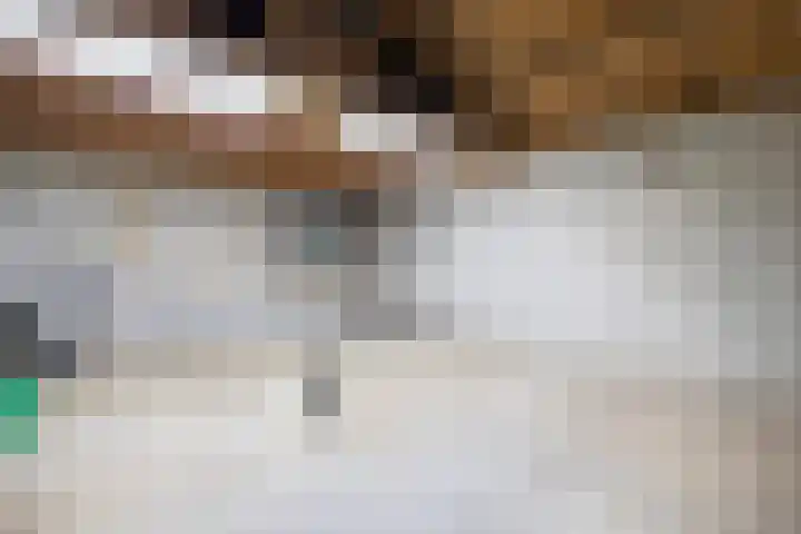 Koningin Julianalaan 5 Berg en Dal thumbnail 41