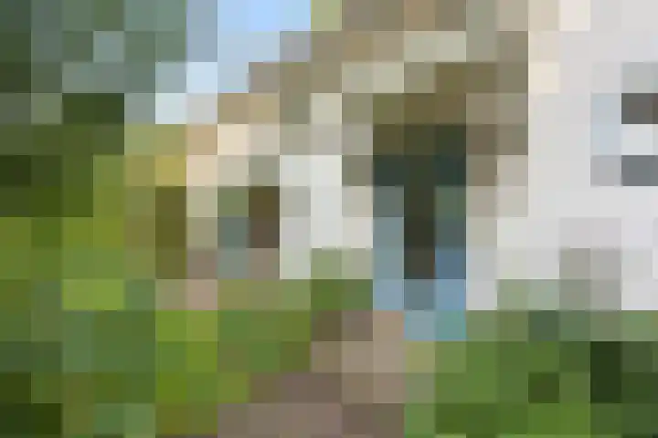 Koningin Julianalaan 5 Berg en Dal thumbnail 46