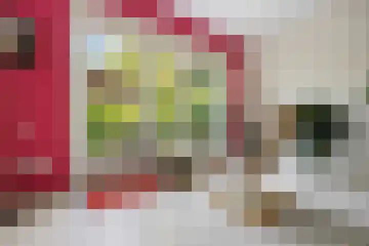 Koningin Julianalaan 5 Berg en Dal thumbnail 6