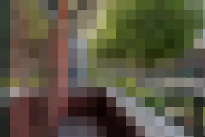 Koningin Julianalaan 5 Voorburg thumbnail 14