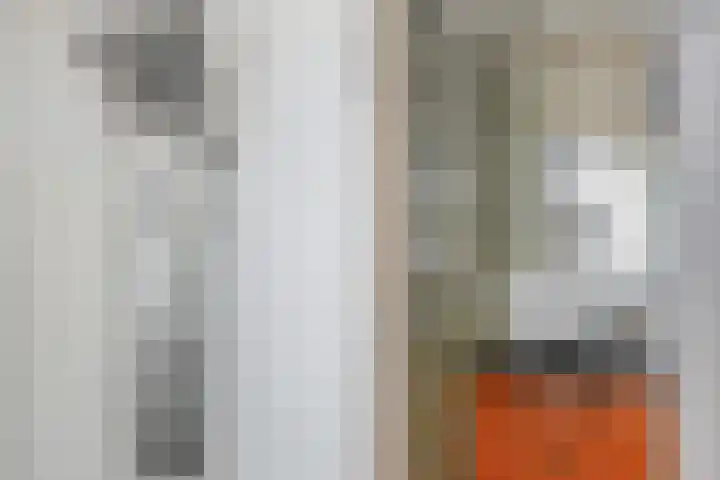 Koningin Julianalaan 5 Voorburg thumbnail 35
