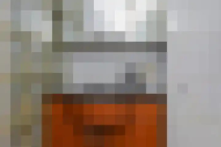 Koningin Julianalaan 5 Voorburg thumbnail 36