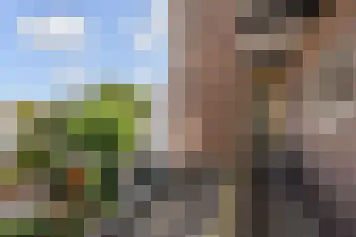 Koningin Julianalaan 5 Voorburg thumbnail 42