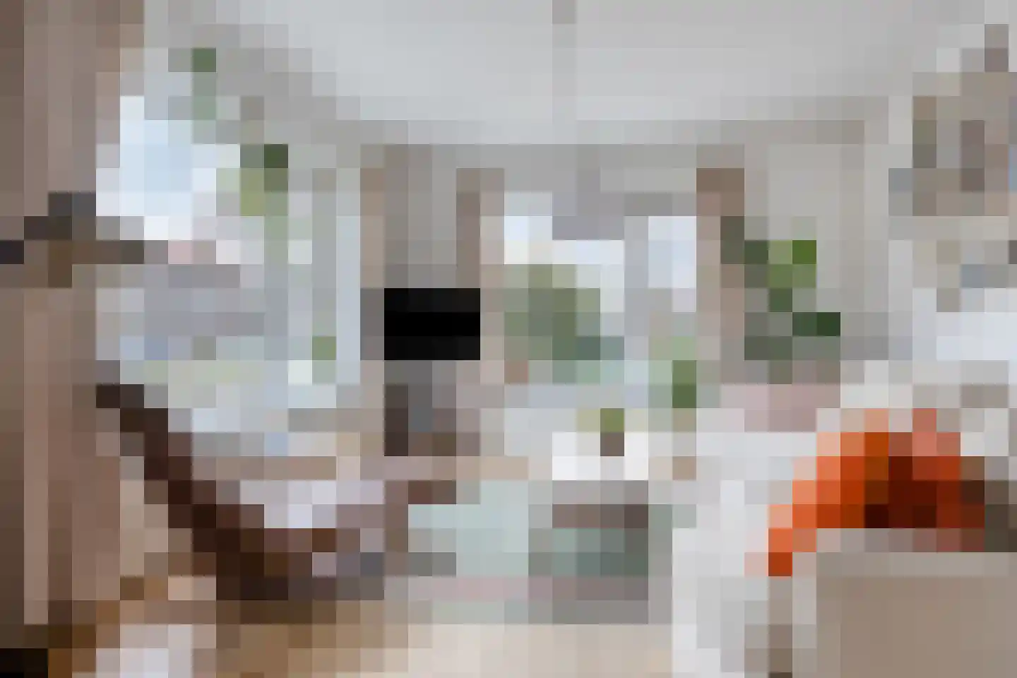 Koningin Julianalaan 51 Voorburg thumbnail 12