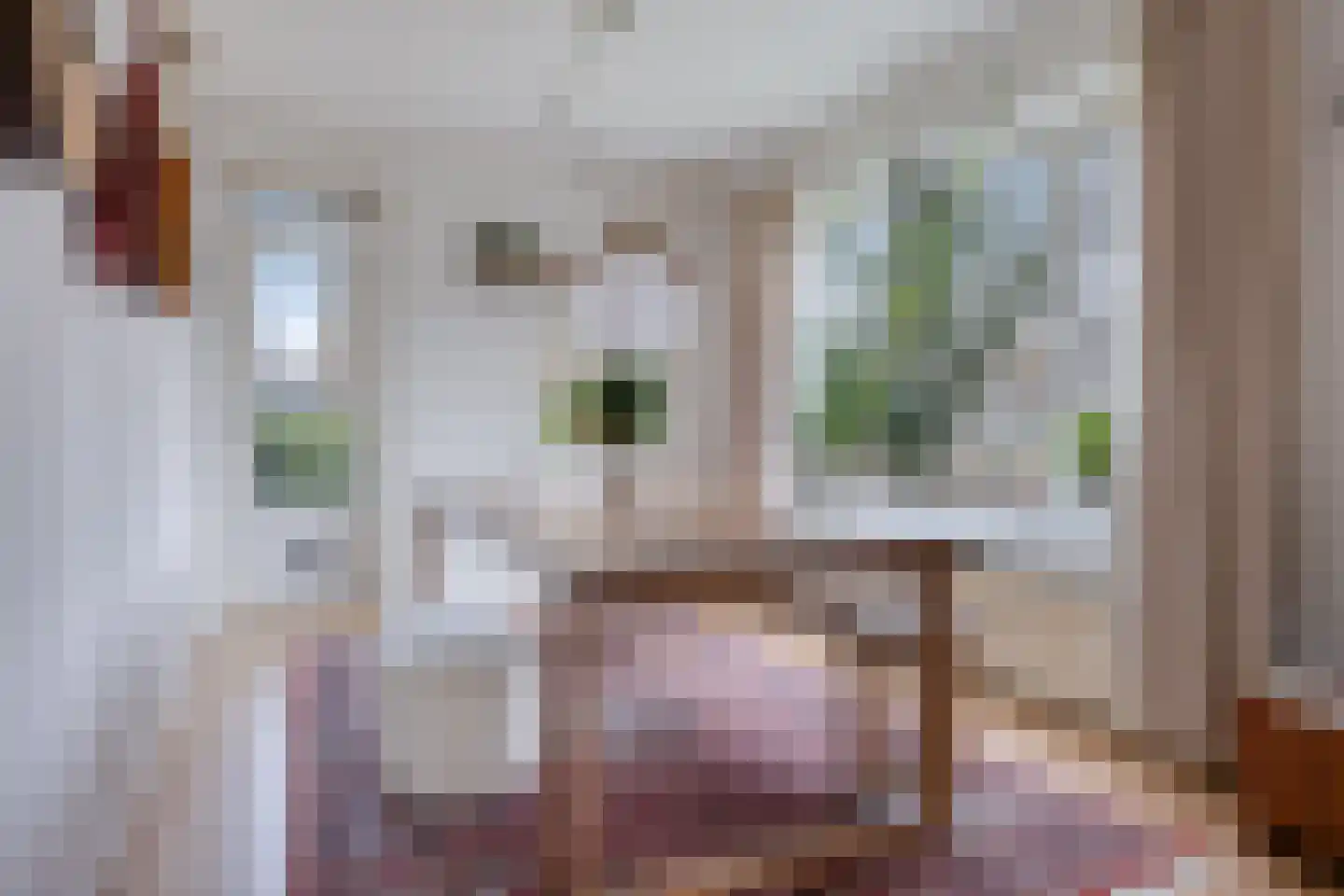 Koningin Julianalaan 51 Voorburg thumbnail 14