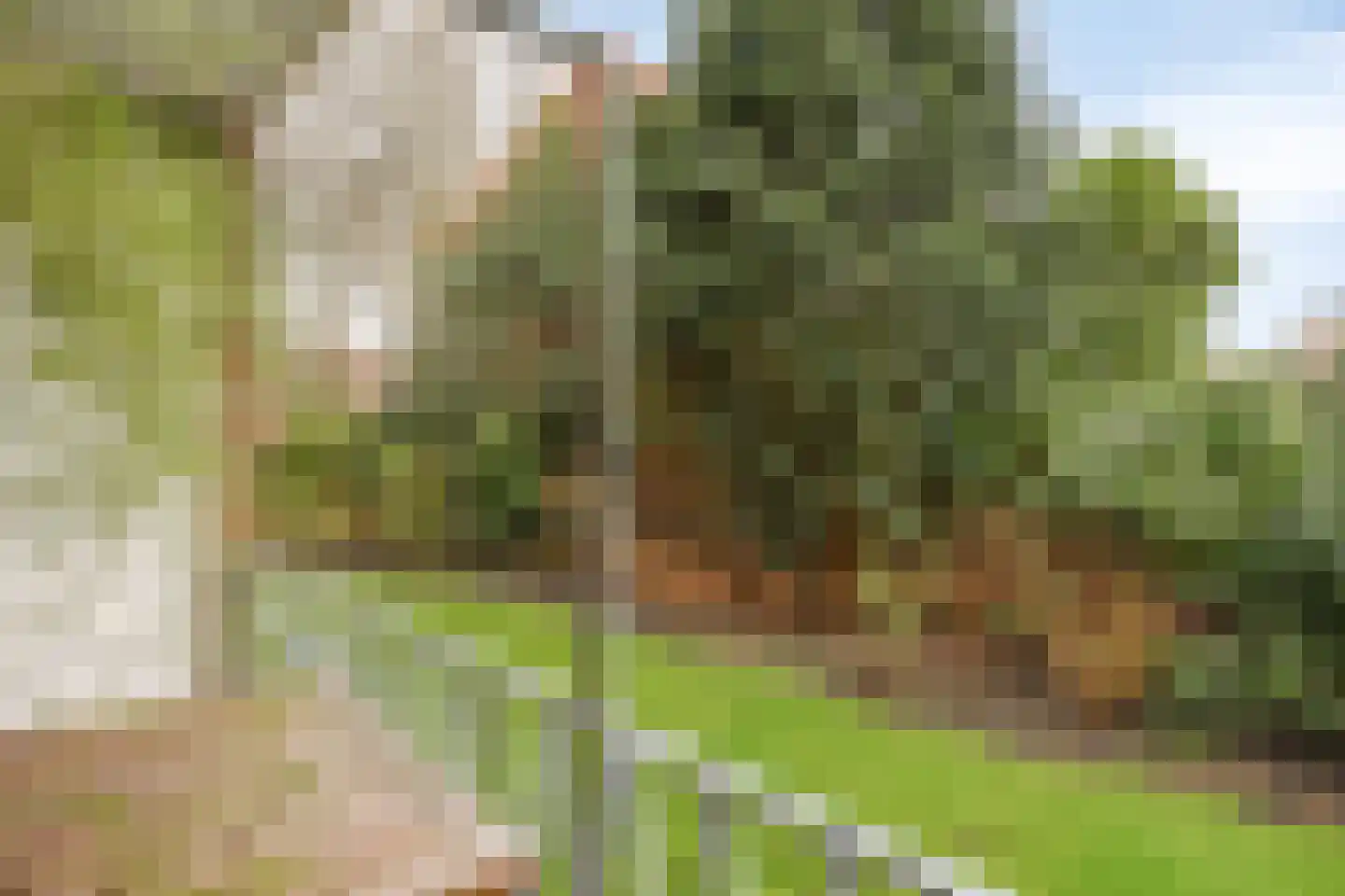 Koningin Julianalaan 51 Voorburg thumbnail 30