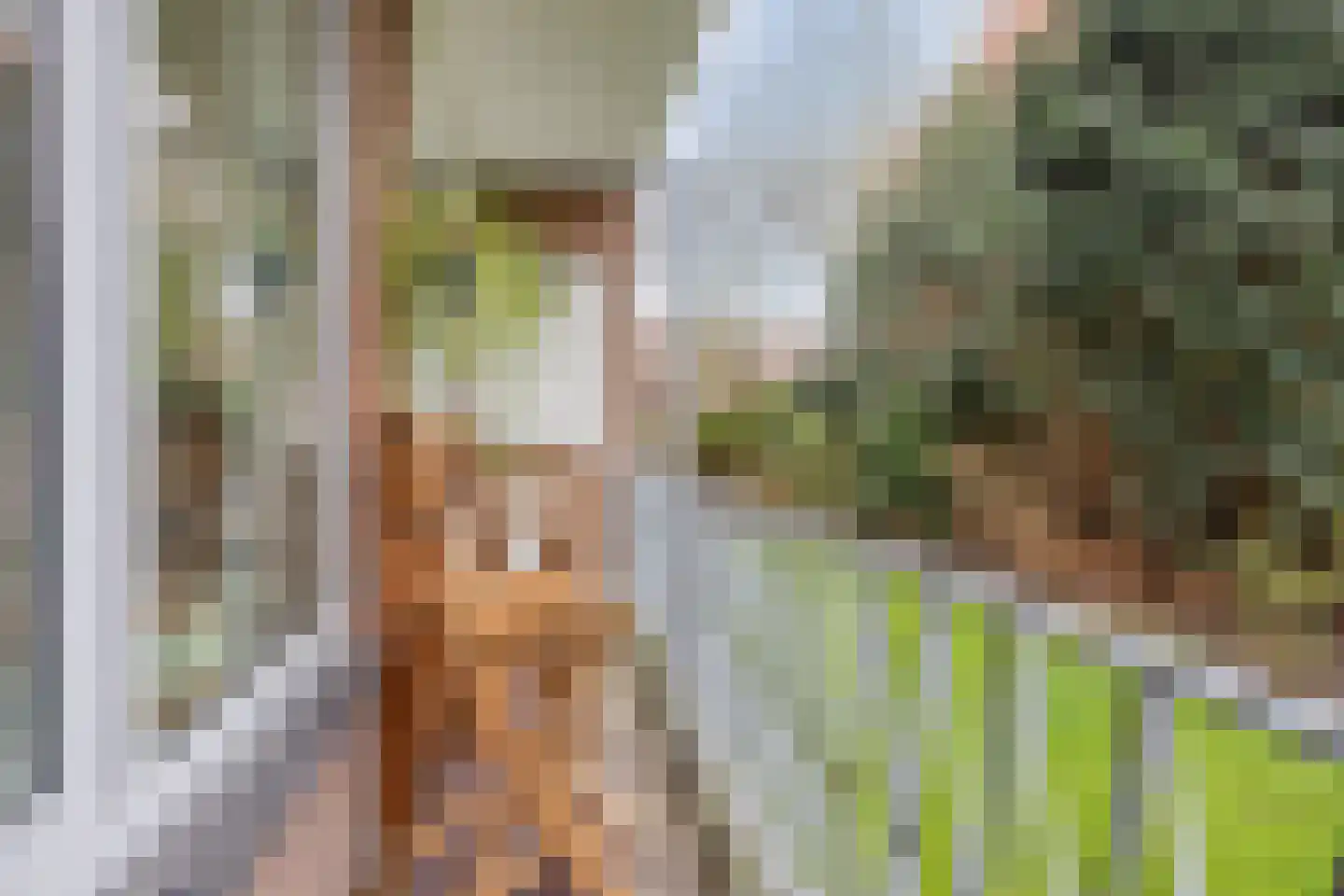 Koningin Julianalaan 51 Voorburg thumbnail 5