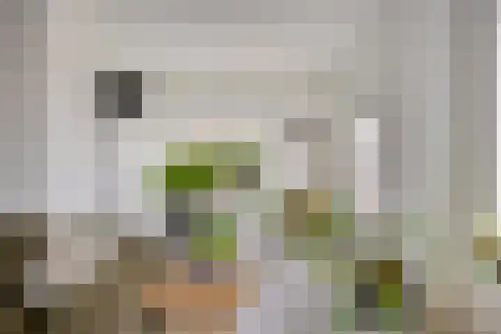 Koningin Julianalaan 53 Zutphen thumbnail 10