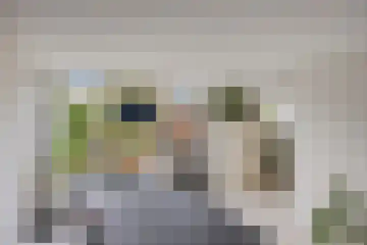 Koningin Julianalaan 53 Zutphen thumbnail 12