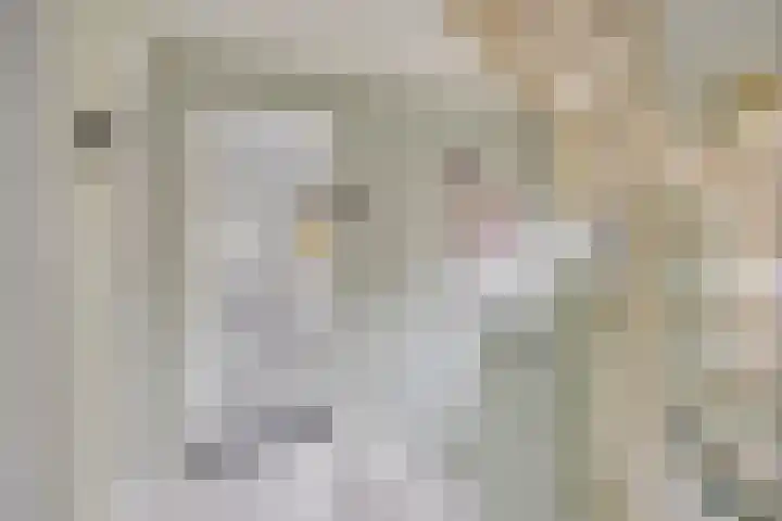 Koningin Julianalaan 53 Zutphen thumbnail 18
