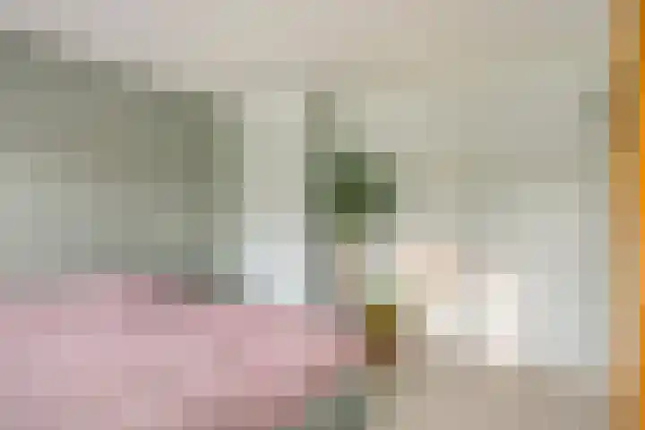 Koningin Julianalaan 53 Zutphen thumbnail 20
