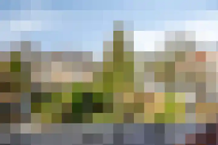 Koningin Julianalaan 53 Zutphen thumbnail 22