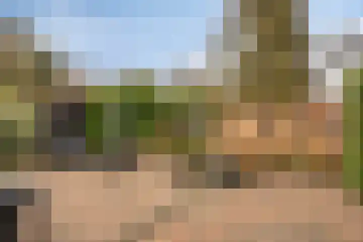 Koningin Julianalaan 53 Zutphen thumbnail 27