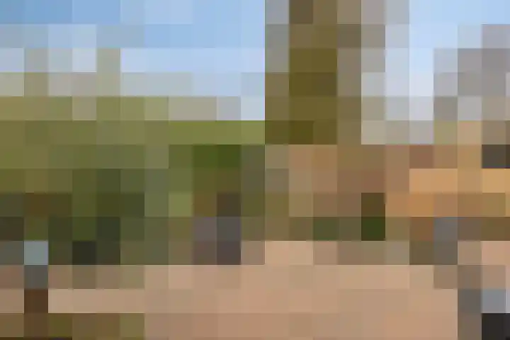 Koningin Julianalaan 53 Zutphen thumbnail 28