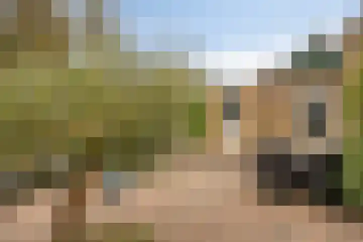 Koningin Julianalaan 53 Zutphen thumbnail 29