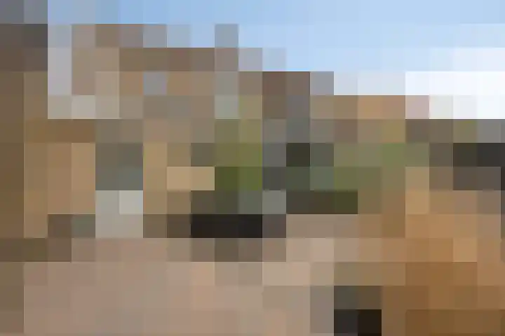 Koningin Julianalaan 53 Zutphen thumbnail 32